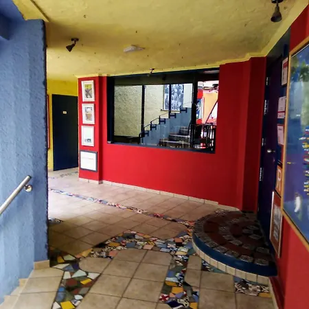 Bougainvillea Bamira